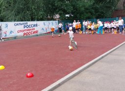 img (2)